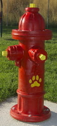 Dog Park Fire Hydrants Fire Hydrant