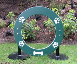 Canine Courtyard™ Dog Park Agility Spaniel Single Hoop Jump