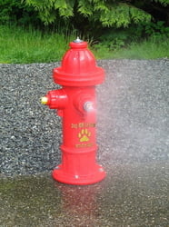 Spray Hydrant